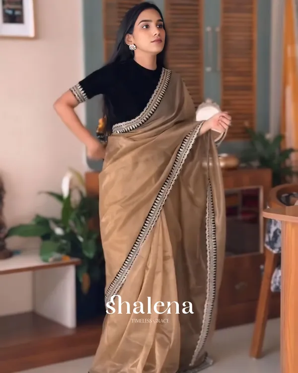 Wonderful_Brown_Twill_Net_Embroidery_Work_Saree_With_Velvet_Blouse_Piece