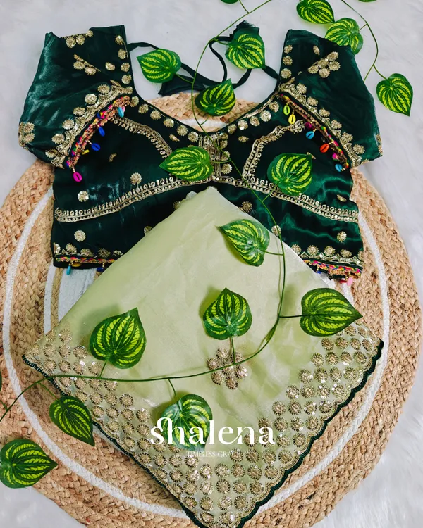 Innovative_Pista_Embroidery_Work_Jimmy_Choo_Silk_Saree_With_Blooming_Full_Stitched_Blouse