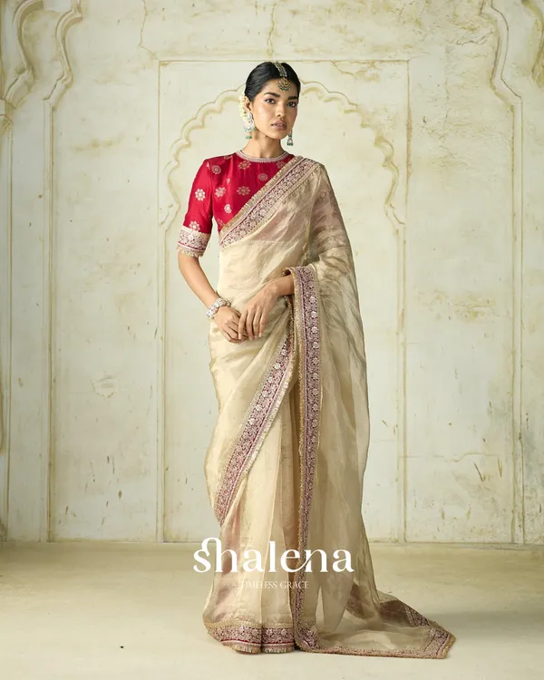Seraglio_Beige_Embroidery_Work_Tweel_Net_Silk_Saree_With_Divine_Blouse_Piece