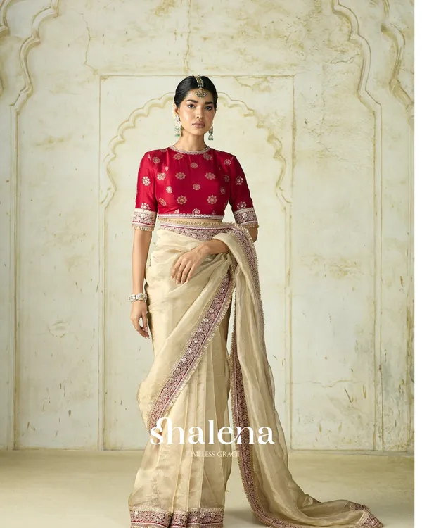 Seraglio_Beige_Embroidery_Work_Tweel_Net_Silk_Saree_With_Divine_Blouse_Piece