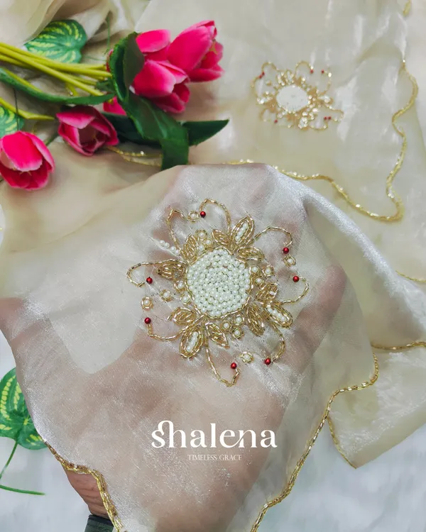 Supernal_Beige_Jimmy_Choo_Hand_Work_Saree