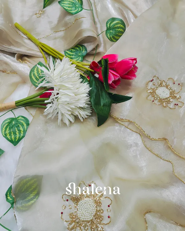 Supernal_Beige_Jimmy_Choo_Hand_Work_Saree