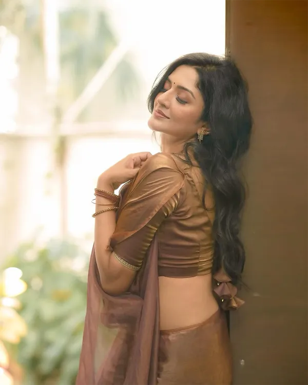 Shining_Brown_Color_Soft_Fendy_Silk_Saree_with_Fully_Stitch_Blouse_(Free_Size)_Up_to_44