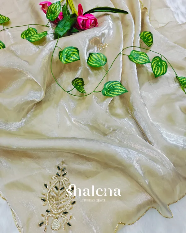 Winsome_Beige_Jimmy_Choo_Hand_Work_Saree