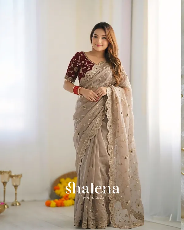 Blissful_Beige_Fendy_Silk_Sequence_Embroidery_Work_Saree_With_Stitched_Blouse