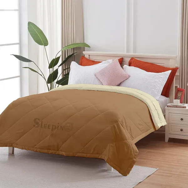 Beige_&_Ivory_Brushed_Microfiber_100_GSM_AC_Reversible_Comforter_For_Heavy_Winter