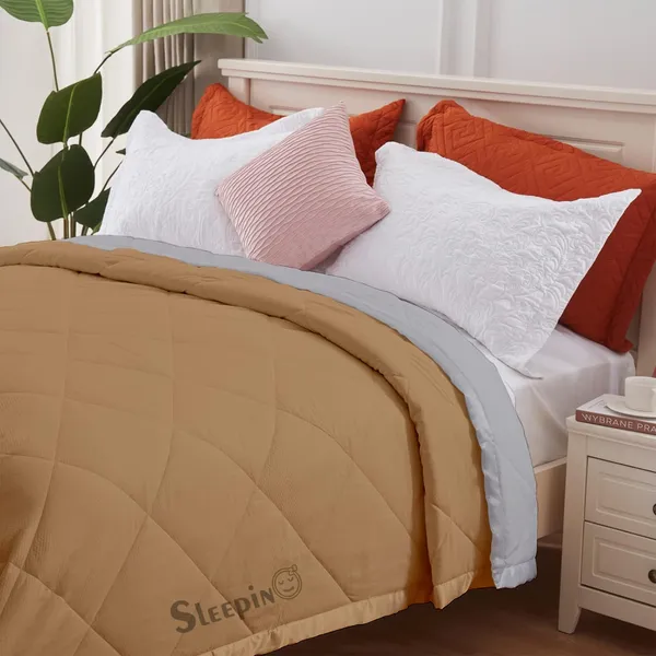 Beige_&_Silver_Brushed_Microfiber_100_GSM_AC_Reversible_Comforter_For_Heavy_Winter
