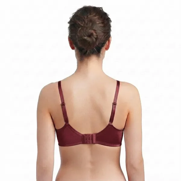 Chandani_Shine_Silk_Touch_Padded_Bra