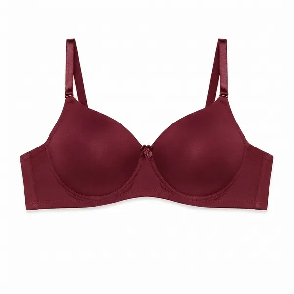 Chandani_Shine_Silk_Touch_Padded_Bra