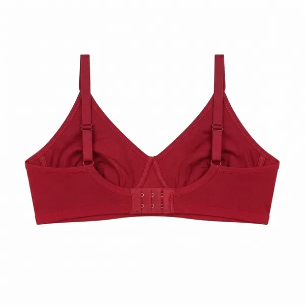 Candy_V_Neck_Non_Padded_Multi_Layered_Cup_Bra_-_Maroon