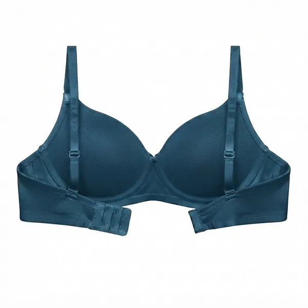 Chandani_Shine_Silk_Touch_Padded_Bra