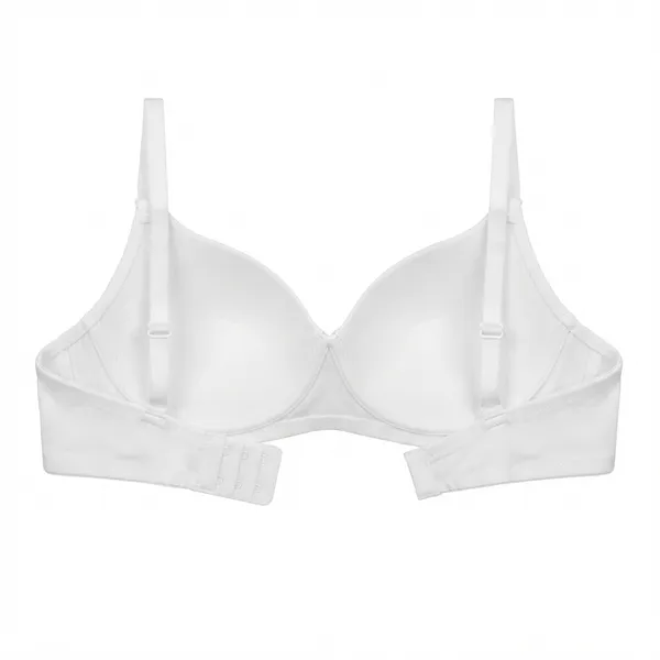 Chandani_Shine_Silk_Touch_Padded_Bra