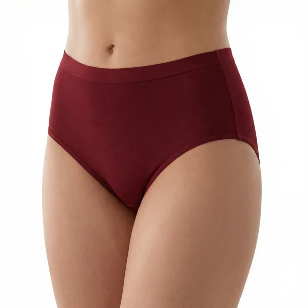 Bamboo_Soft_Touch_Panty_-_Pack_of_2