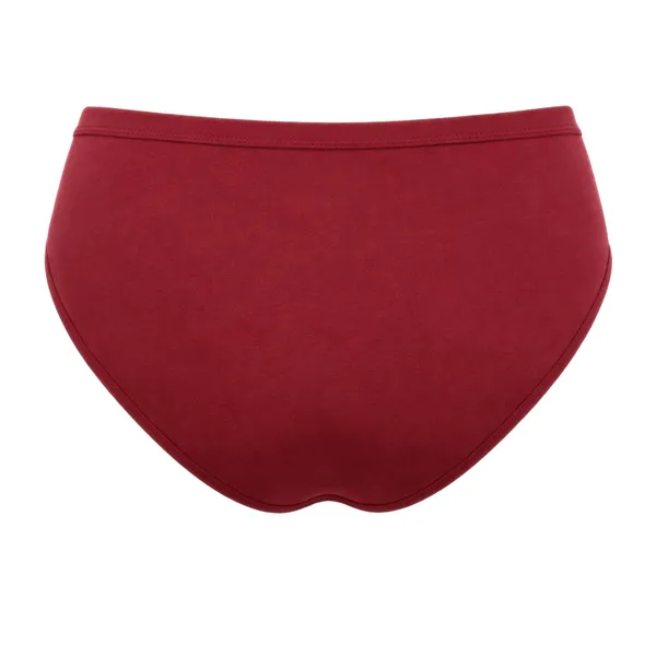 Bamboo_Soft_Touch_Panty_-_Pack_of_2