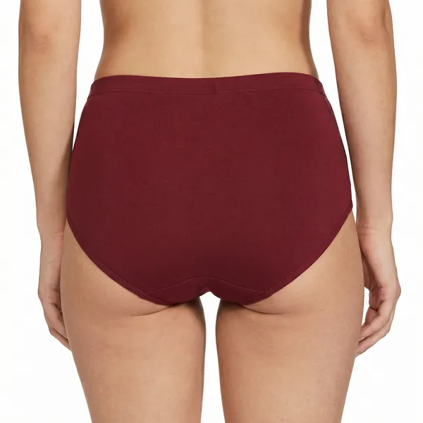 Bamboo_Soft_Touch_Panty_-_Pack_of_2