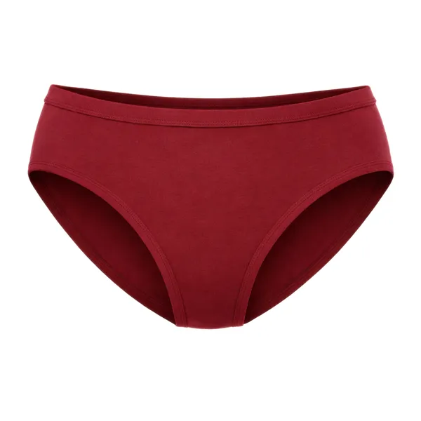 Bamboo_Soft_Touch_Panty_-_Pack_of_2