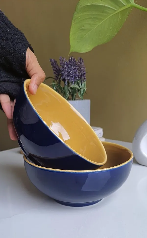 Ceramic_Handcrafted_Blue_Serving_Cum_Snack_Bowl:_(17x8cm)