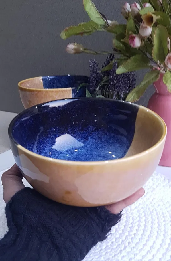 Ceramic_Handcrafted_Glaze_Finish_Blue_&_Brown_Dual-Color_Serving_Cum_Snack_Bowl:_(16cmx8cm)