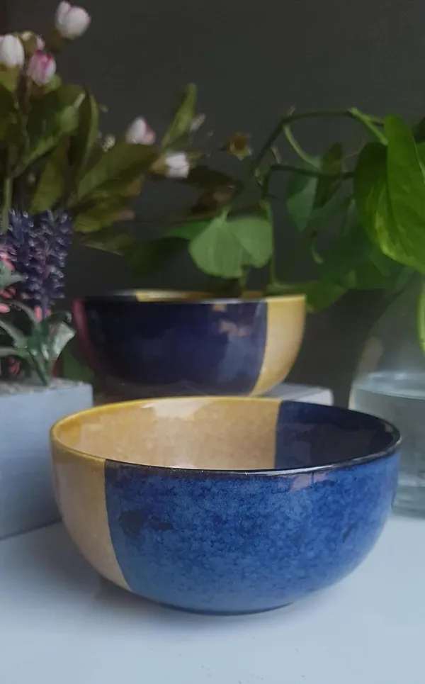 Ceramic_Handcrafted_Glaze_Finish_Blue_&_Brown_Dual-Color_Serving_Cum_Snack_Bowl:_(16cmx8cm)