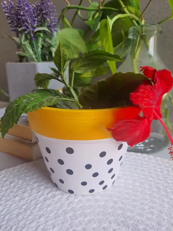 Ceramic_Handcrafted_Elegant_&_Portable_Flower_Pot_Perfect_for_Small_Plants_&_Succulents-_White-Dotted(11x11x10cm)