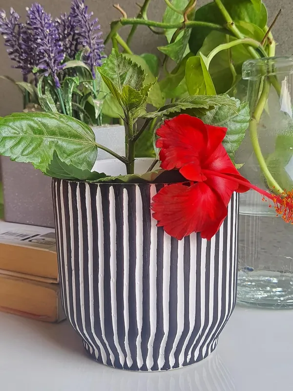 Ceramic_Handcrafted_Elegant_&_Portable_Flower_Pot__Perfect_for_Small_Plants_&_Succulents-_Black