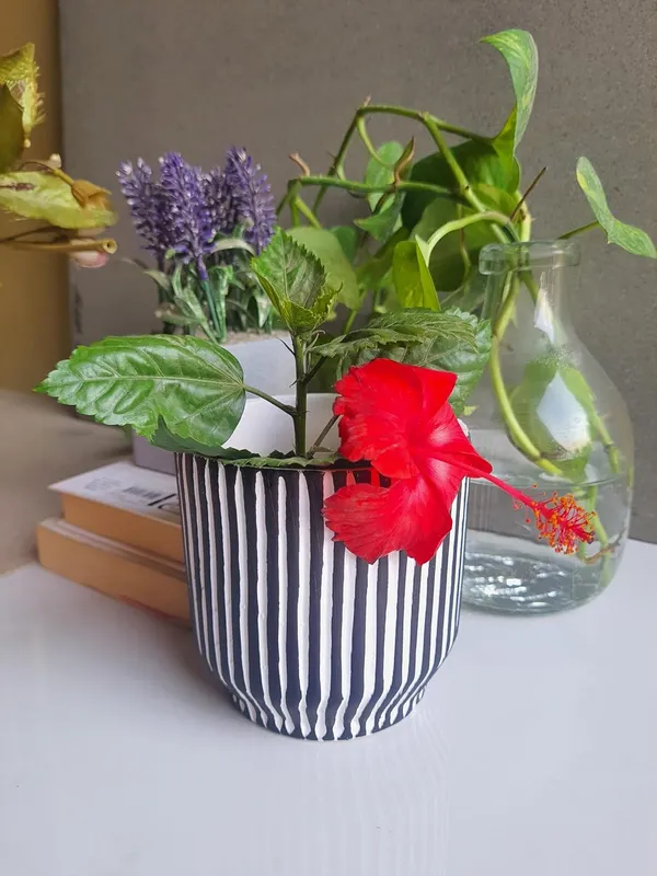 Ceramic_Handcrafted_Elegant_&_Portable_Flower_Pot__Perfect_for_Small_Plants_&_Succulents-_Black