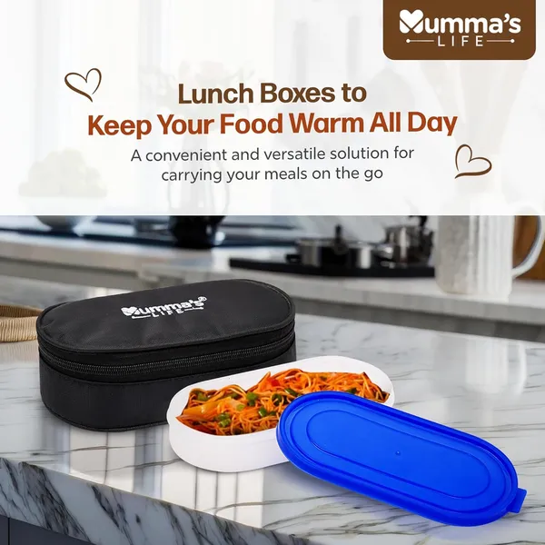 Silver_Stainless_Steel_Lunch_Box_Suitable_For_School_Offices_And_Picnics