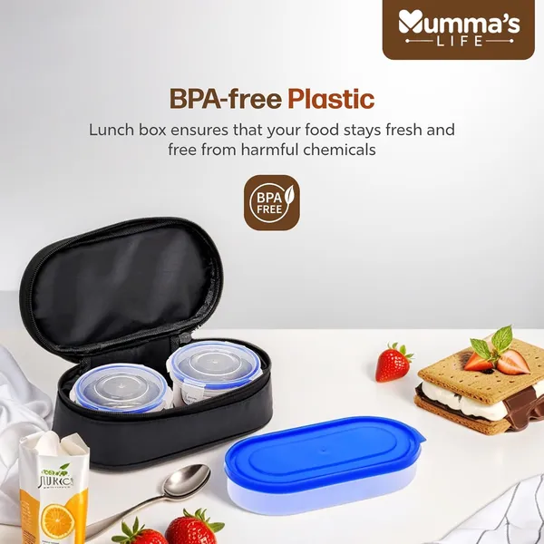 Silver_Stainless_Steel_Lunch_Box_Suitable_For_School_Offices_And_Picnics