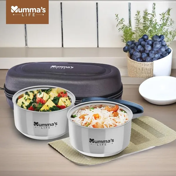 Grey_Stainless_Steel_Lunch_Box_Set_Of_2_With_Insulated_Lunch_Bag_Leak_Proof_Lunch_Box_For_Office_And_College
