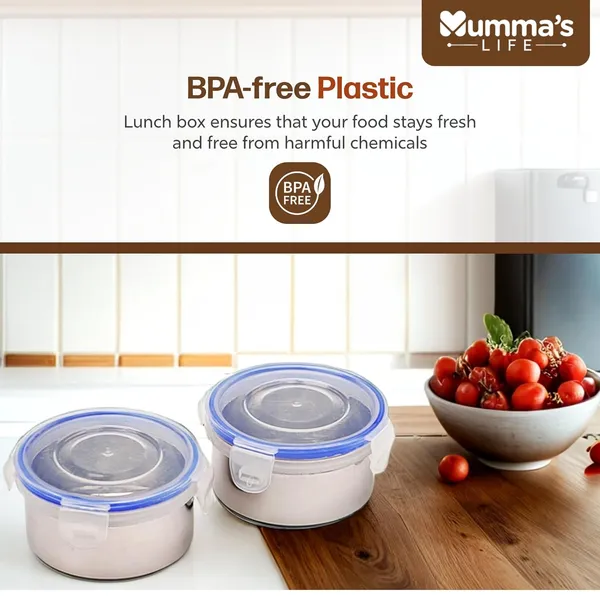 Silver_Stainless_Steel_Lunch_Box_Suitable_For_School_Offices_And_Picnics