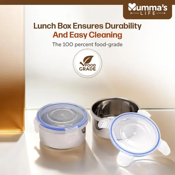Silver_Stainless_Steel_Lunch_Box_Suitable_For_School_Offices_And_Picnics