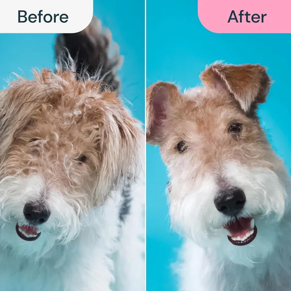 Multicolor_Fur_Shedding_Brush_&_Deshedding_Tool_For_Pets