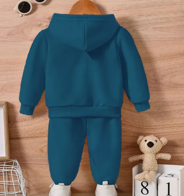 Blue_Cool_Bird_Print_Loafer_Hoodie_Set_For_Kids_|_Sweatshirt_and_track_Pant_set_for_Boys