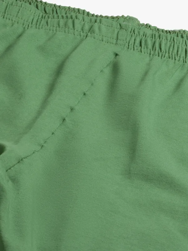 Olive_Green_Viscose_Rayon_Elasticated_Waistband_Churidaar_Length_Leggings_For_Women_&_Girls