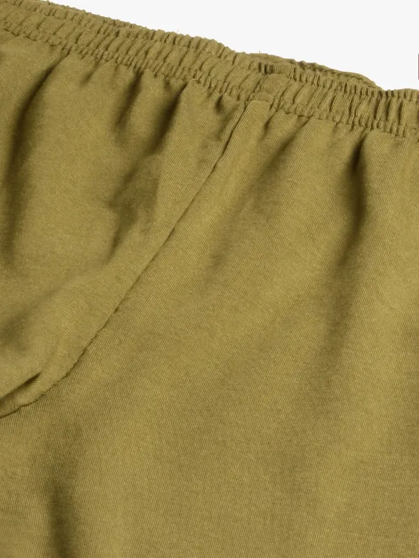 Mehendi_Viscose_Rayon_Elasticated_Waistband_Churidaar_Length_Leggings_For_Women_&_Girls