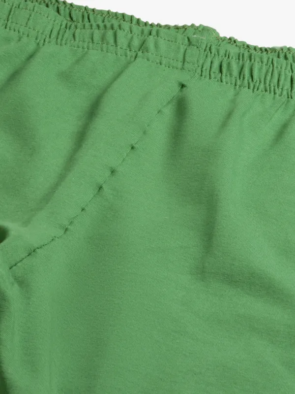 Olive_Green_Viscose_Rayon_Elasticated_Waistband_Ankle_Length_Leggings_For_Women_&_Girls