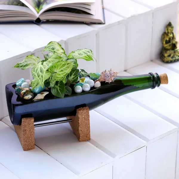 Champagne_Bottle_Planter_For_Living_Room_Bedroom_Display_|_Suitable_For_Home