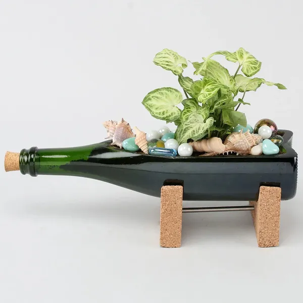 Champagne_Bottle_Planter_For_Living_Room_Bedroom_Display_|_Suitable_For_Home
