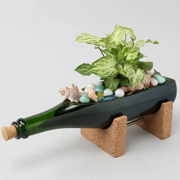 Champagne_Bottle_Planter_For_Living_Room_Bedroom_Display_|_Suitable_For_Home