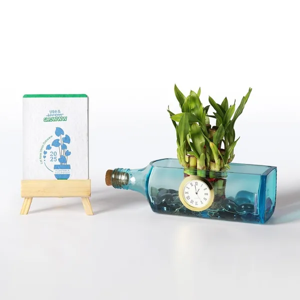 Bombay_Sapphire_Clock_Bottle_Planter_with_Lucky_Bamboo_Plant_Seed_Paper_Calendar:
