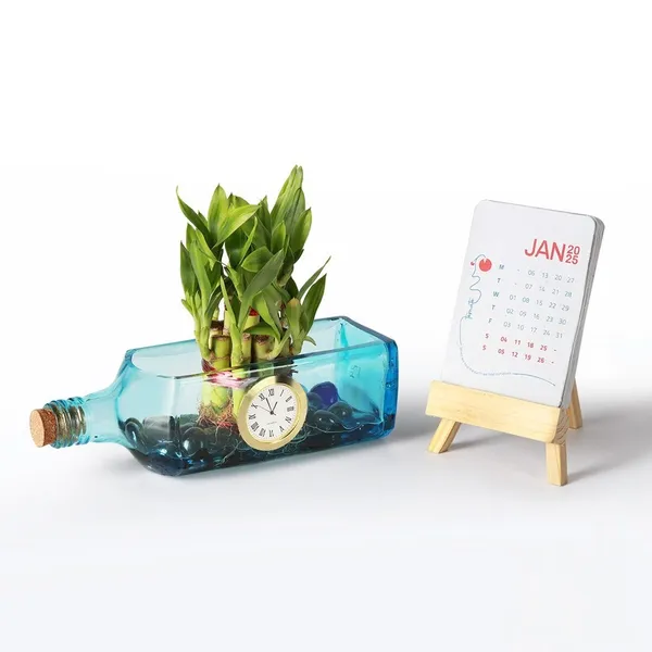 Bombay_Sapphire_Clock_Bottle_Planter_with_Lucky_Bamboo_Plant_Seed_Paper_Calendar: