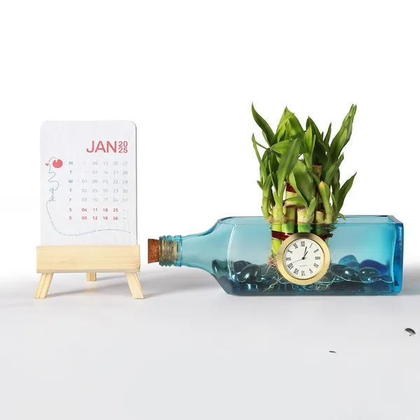 Bombay_Sapphire_Clock_Bottle_Planter_with_Lucky_Bamboo_Plant_Seed_Paper_Calendar: