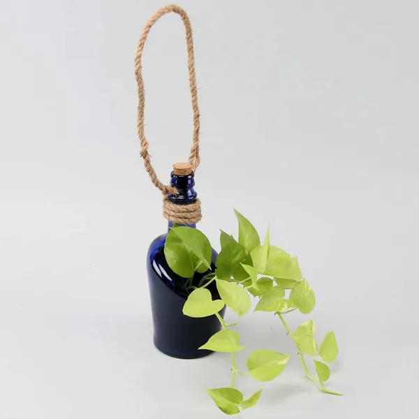 Blue_Glass_Bottle_Hanging_Planter_For_Terrace_Room_Garden_|_Table_Top_Decor_Flower_Vase