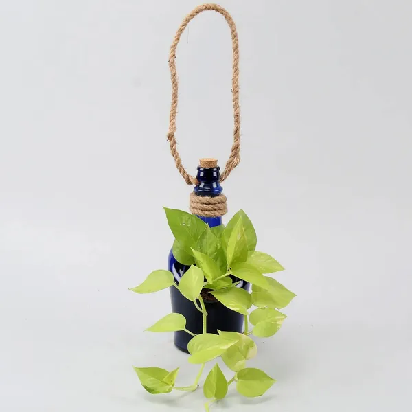 Blue_Glass_Bottle_Hanging_Planter_For_Terrace_Room_Garden_|_Table_Top_Decor_Flower_Vase