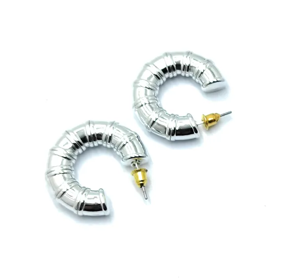 Silver_Hypo_allergenic_earring_for_women