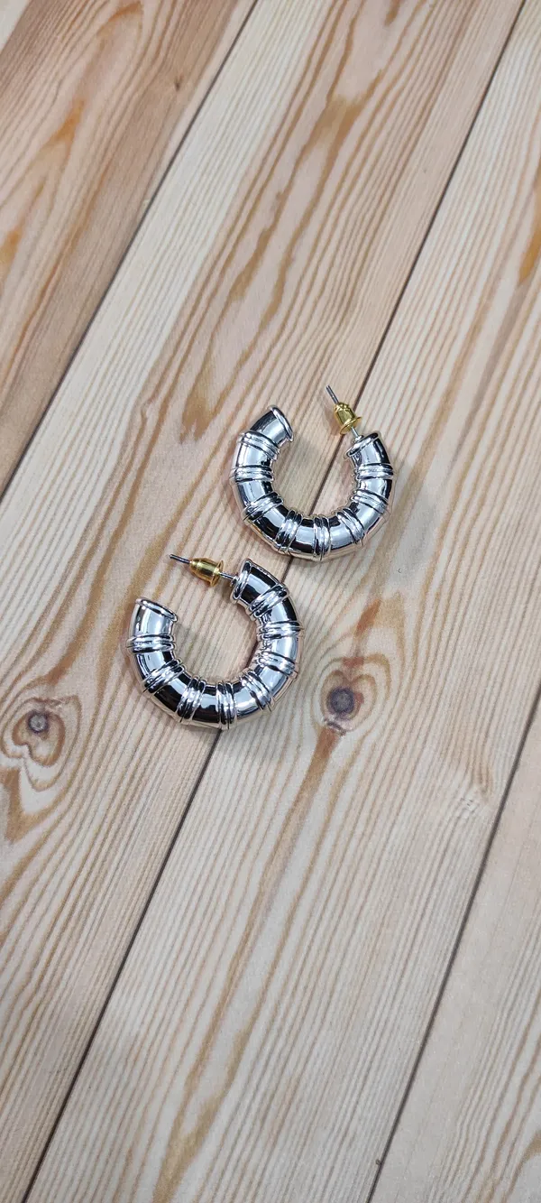 Silver_Hypo_allergenic_earring_for_women