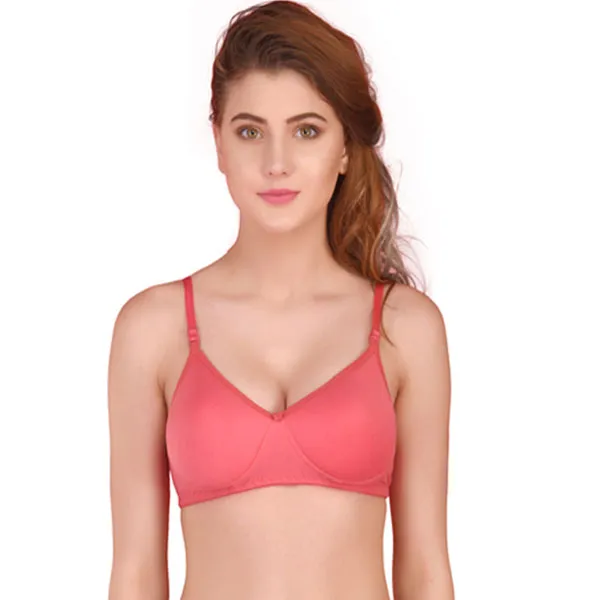 Multicolor_Seamless_Padded_T_Shirt_Bra_For_Women_(Pack_Of_3)