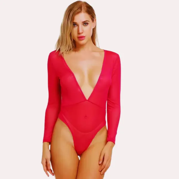 Multicolor_Sheer_And_Opaque_Bodysuit_For_Women
