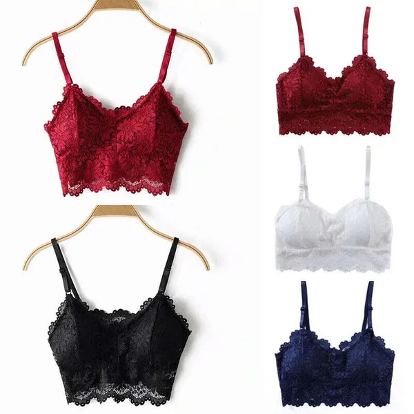 Multicolor_Luxury_Lace_Padded_Bralette_For_Women_(Pack_Of_2)