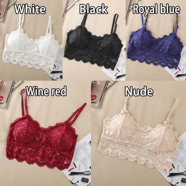 Multicolor_Luxury_Lace_Padded_Bralette_For_Women_(Pack_Of_2)